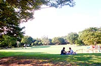 公園でピクニック　家族写真