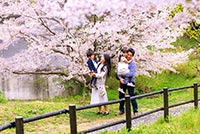 家族写真　桜