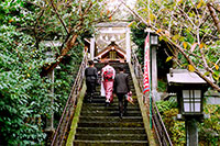 お宮参り出張撮影　神社の階段